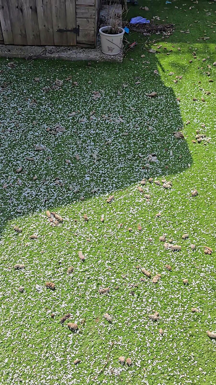 Artificial grass covered in debris before cleaning